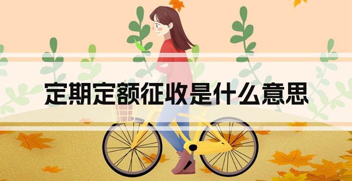 定期定额征收是什么意思