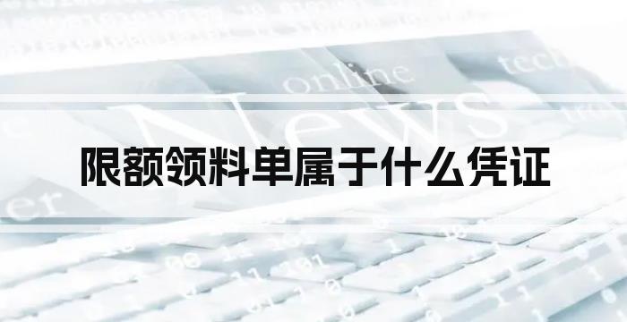 限额领料单属于什么凭证