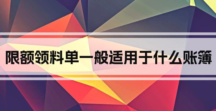 限额领料单一般适用于什么账簿