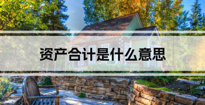 资产合计是什么意思
