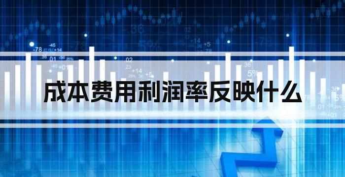成本费用利润率反映什么