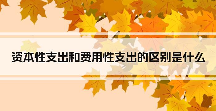 资本性支出和费用性支出的区别是什么