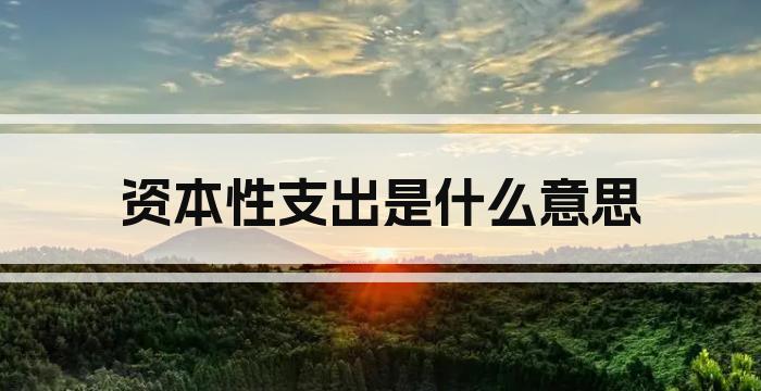 资本性支出是什么意思