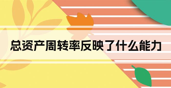 总资产周转率反映了什么能力