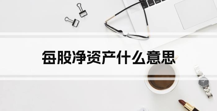 每股净资产什么意思