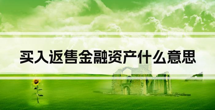 买入返售金融资产什么意思