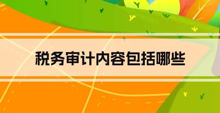 税务审计内容包括哪些
