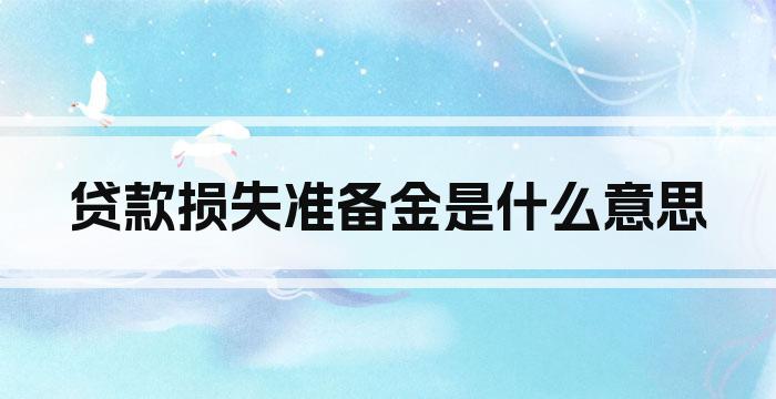 贷款损失准备金是什么意思