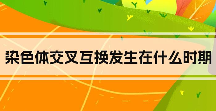 染色体交叉互换发生在什么时期