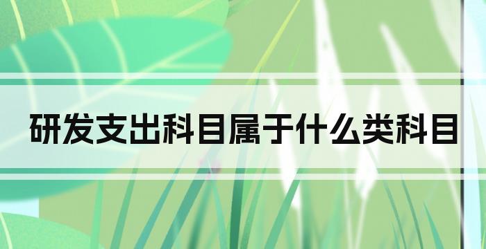 研发支出科目属于什么类科目