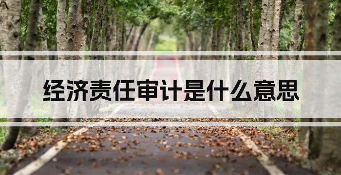 经济责任审计是什么意思