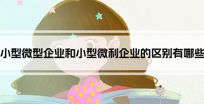 小型微型企业和小型微利企业的区别有哪些