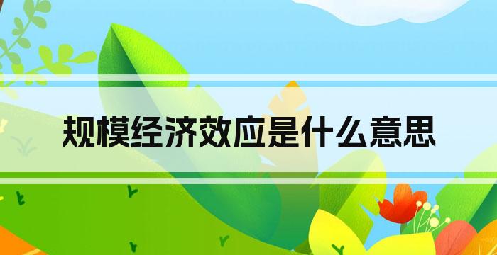 规模经济效应是什么意思