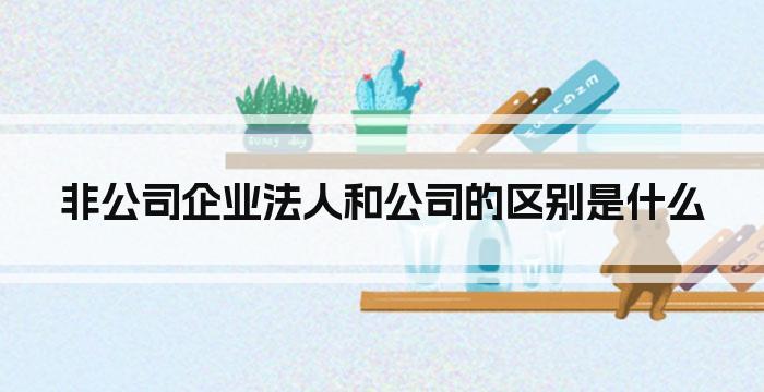 非公司企业法人和公司的区别是什么