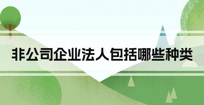 非公司企业法人包括哪些种类
