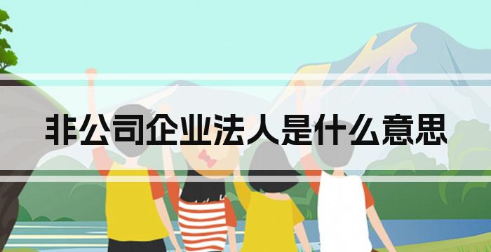 非公司企业法人是什么意思