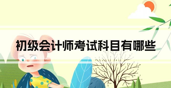 初级会计师考试科目有哪些