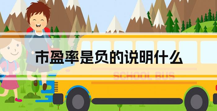市盈率是负的说明什么