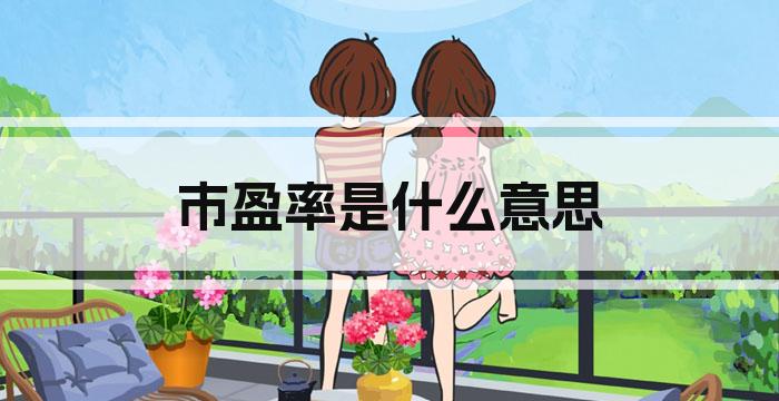 市盈率是什么意思
