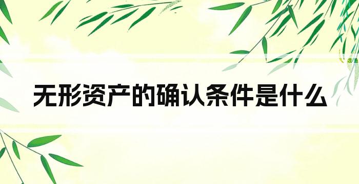 无形资产的确认条件是什么