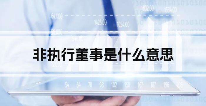 非执行董事是什么意思