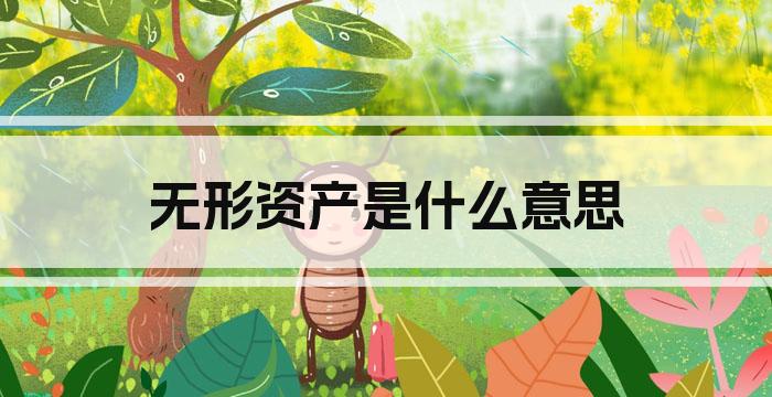 无形资产是什么意思