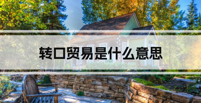 转口贸易是什么意思