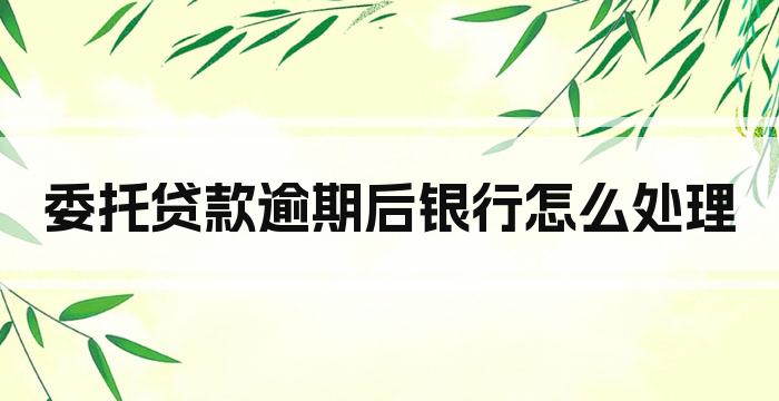 委托贷款逾期后银行怎么处理