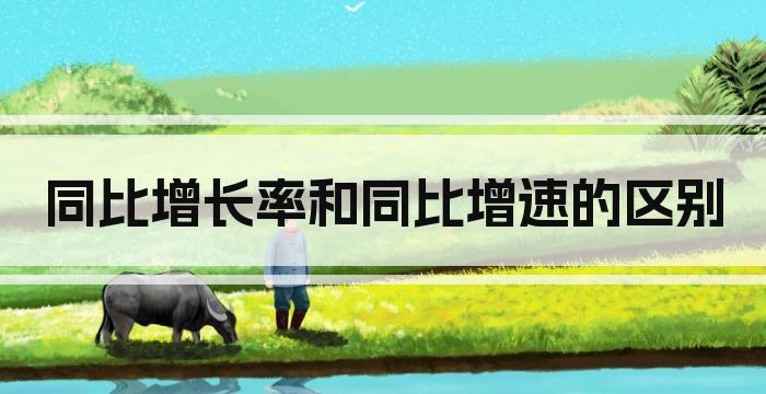 同比增长率和同比增速的区别