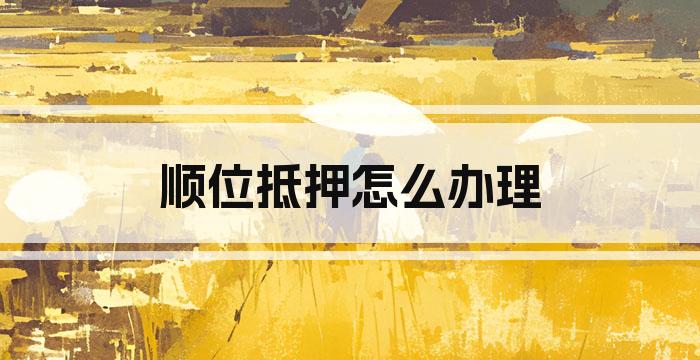 顺位抵押怎么办理