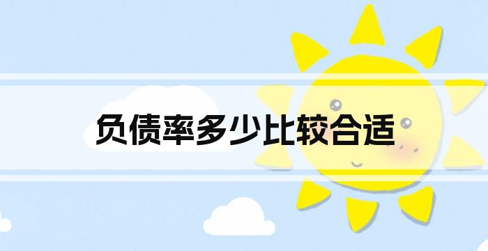 负债率多少比较合适