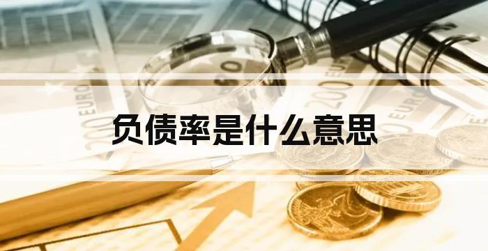 负债率是什么意思