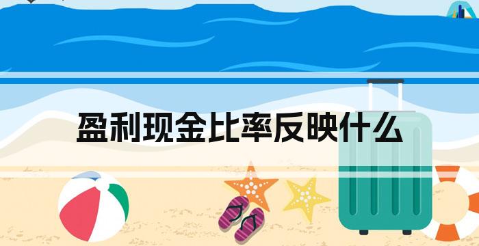 盈利现金比率反映什么