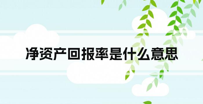 净资产回报率是什么意思