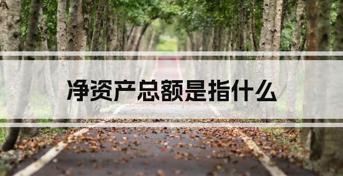 净资产总额是指什么