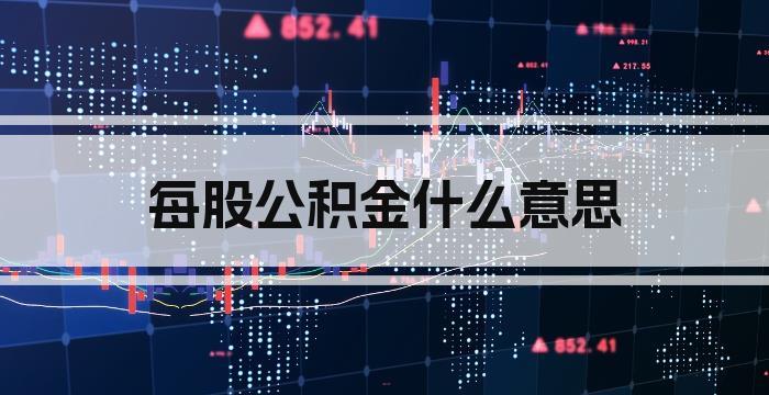 每股公积金什么意思