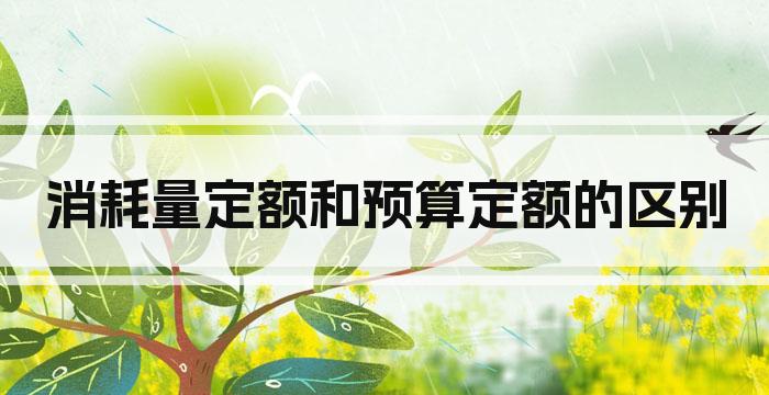 消耗量定额和预算定额的区别