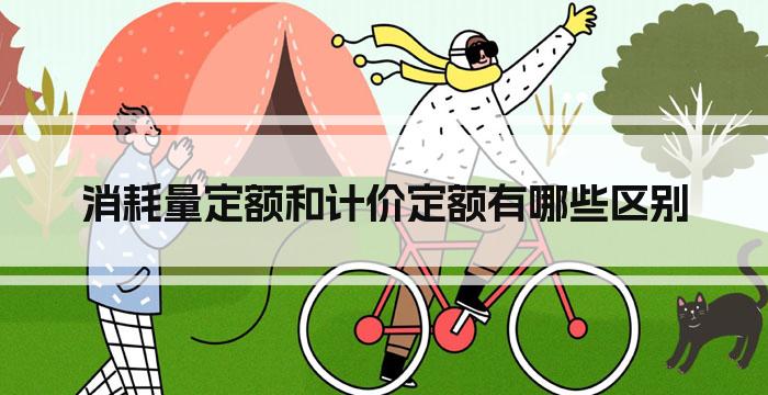 消耗量定额和计价定额有哪些区别
