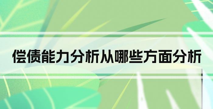 偿债能力分析从哪些方面分析