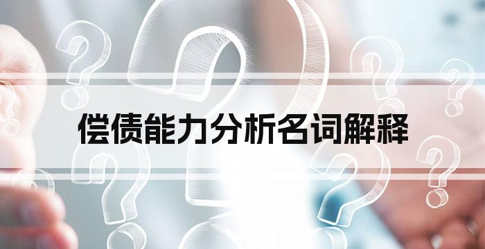 偿债能力分析名词解释