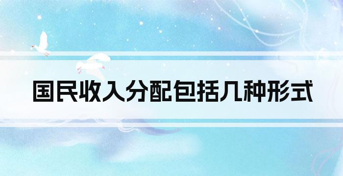 国民收入分配包括几种形式