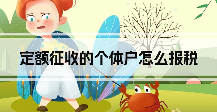 定额征收的个体户怎么报税