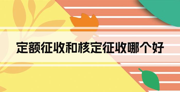 定额征收和核定征收哪个好