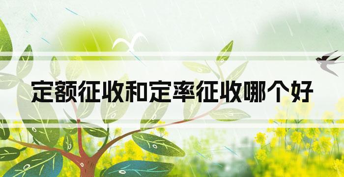定额征收和定率征收哪个好