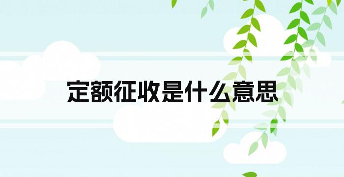 定额征收是什么意思