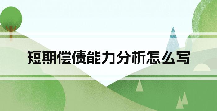 短期偿债能力分析怎么写