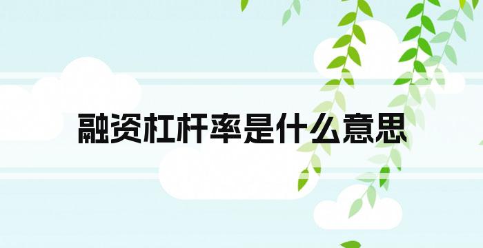 融资杠杆率是什么意思
