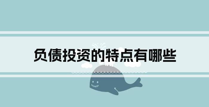 负债投资的特点有哪些