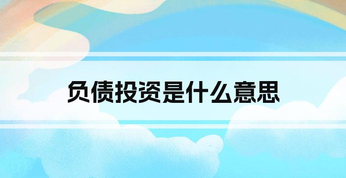 负债投资是什么意思