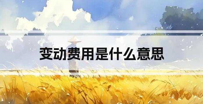 变动费用是什么意思